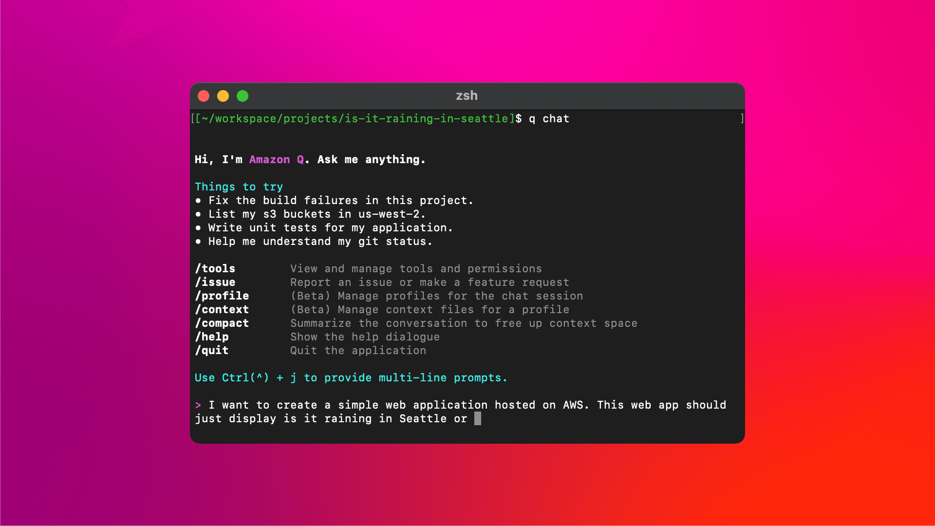 Amazon Q Developer CLI